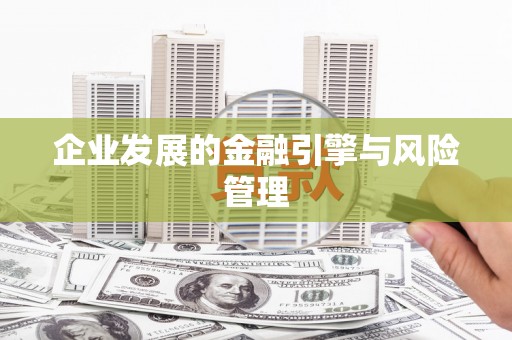 新都企业发展的金融引擎与风险管理