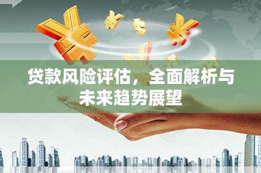 新都贷款风险评估，全面解析与未来趋势展望