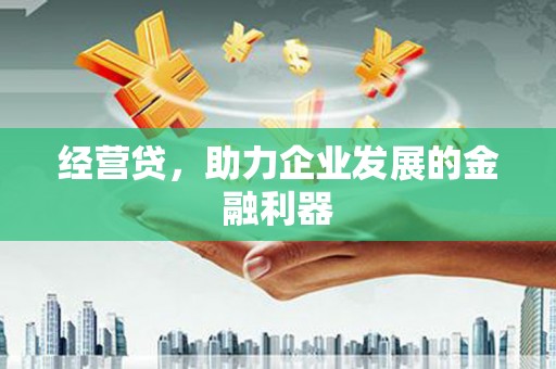 新都经营贷，助力企业发展的金融利器