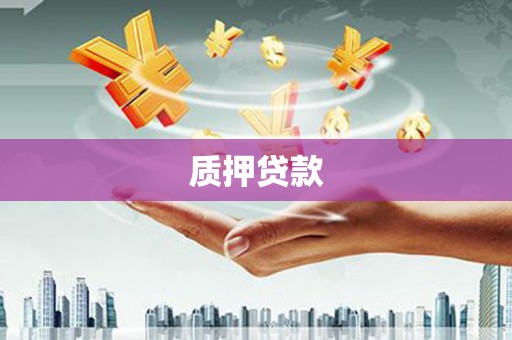 新都质押贷款