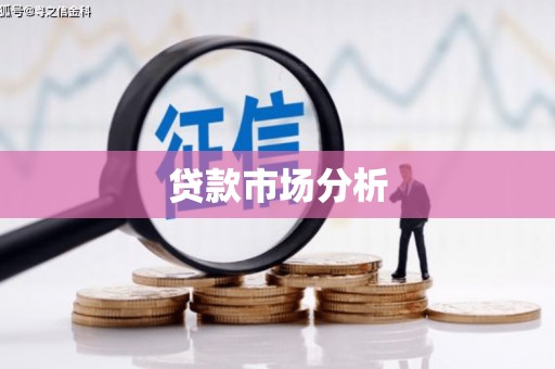新都贷款市场分析