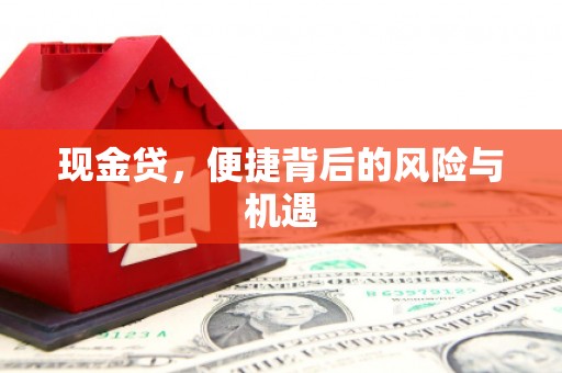新都现金贷，便捷背后的风险与机遇
