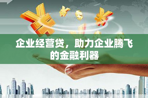 新都企业经营贷，助力企业腾飞的金融利器