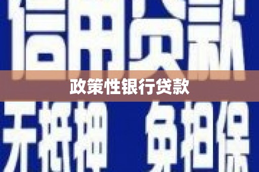 新都政策性银行贷款