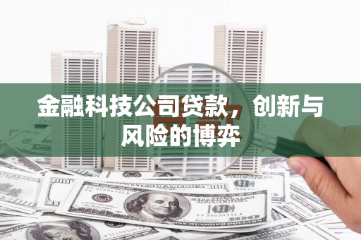 新都金融科技公司贷款，创新与风险的博弈