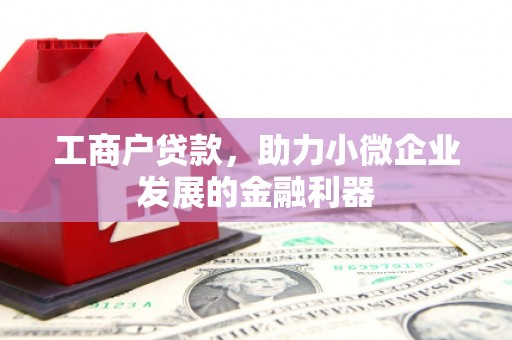 新都工商户贷款，助力小微企业发展的金融利器