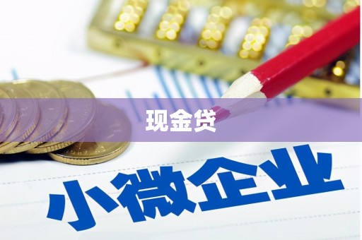 新都现金贷