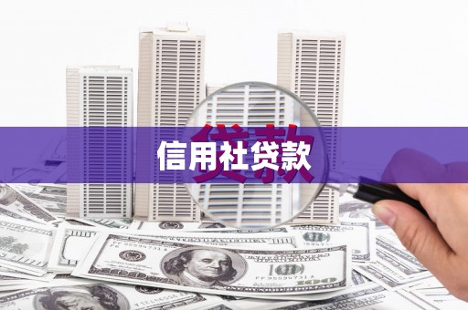 新都信用社贷款