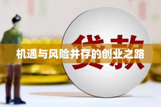新都机遇与风险并存的创业之路