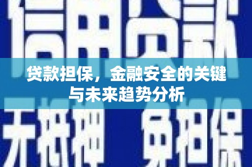 新都贷款担保，金融安全的关键与未来趋势分析
