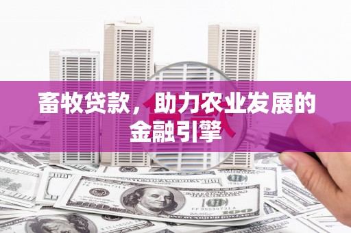 新都畜牧贷款，助力农业发展的金融引擎