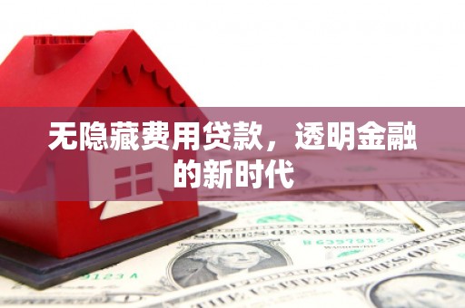 新都无隐藏费用贷款，透明金融的新时代