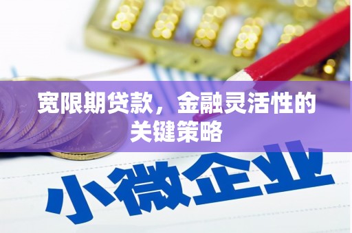 新都宽限期贷款，金融灵活性的关键策略
