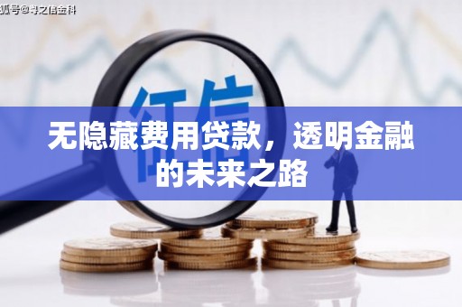 新都无隐藏费用贷款，透明金融的未来之路