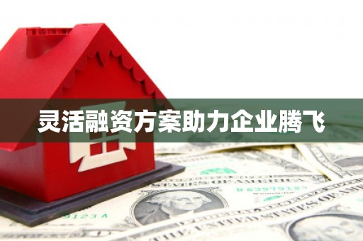 新都灵活融资方案助力企业腾飞