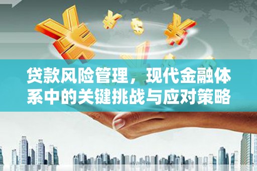 新都贷款风险管理，现代金融体系中的关键挑战与应对策略