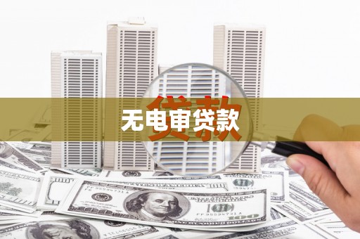 新都无电审贷款