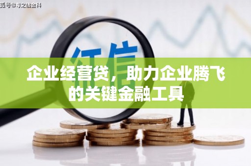 新都企业经营贷，助力企业腾飞的关键金融工具