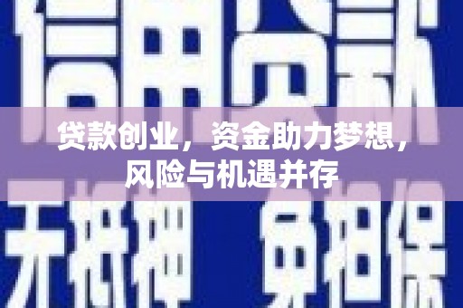 新都贷款创业，资金助力梦想，风险与机遇并存