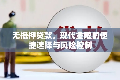 新都无抵押贷款，现代金融的便捷选择与风险控制