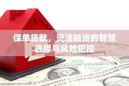 新都保单贷款，灵活融资的智慧选择与风险把控