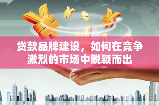 新都贷款品牌建设，如何在竞争激烈的市场中脱颖而出