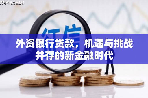 新都外资银行贷款，机遇与挑战并存的新金融时代