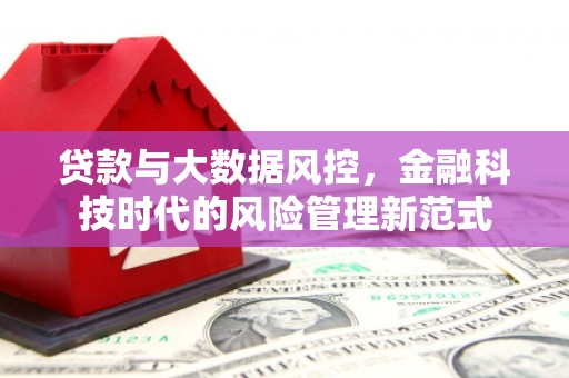 新都贷款与大数据风控，金融科技时代的风险管理新范式