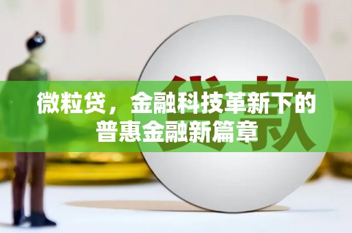 新都微粒贷，金融科技革新下的普惠金融新篇章
