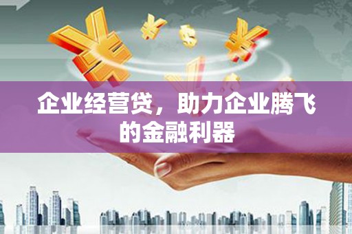 新都企业经营贷，助力企业腾飞的金融利器