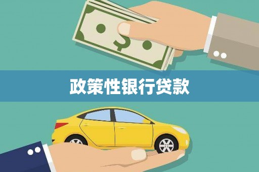 新都政策性银行贷款