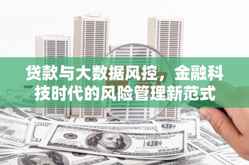 新都贷款与大数据风控，金融科技时代的风险管理新范式