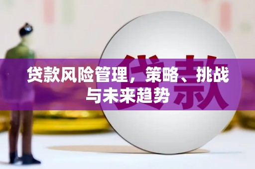 新都贷款风险管理，策略、挑战与未来趋势