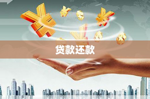 新都贷款还款