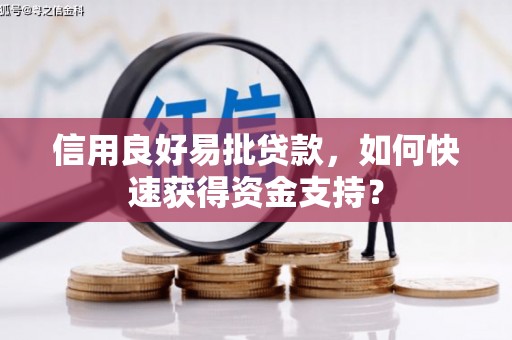 新都信用良好易批贷款，如何快速获得资金支持？