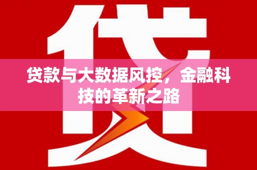 新都贷款与大数据风控，金融科技的革新之路