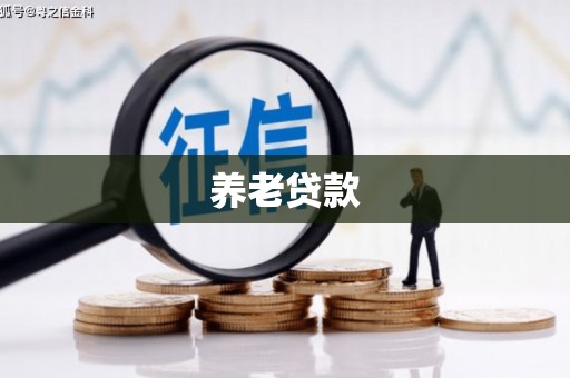 新都养老贷款