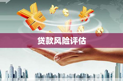 新都贷款风险评估