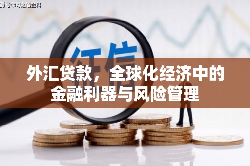 新都外汇贷款，全球化经济中的金融利器与风险管理