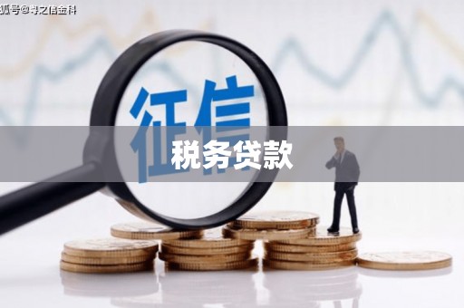 新都税务贷款
