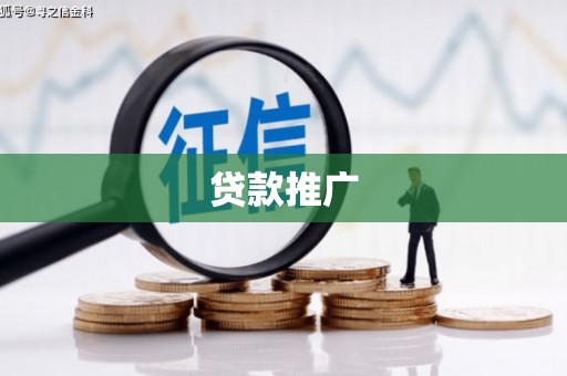 新都贷款推广