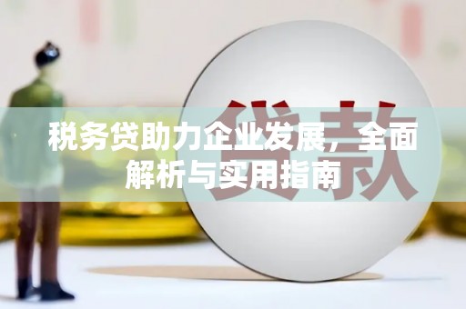 新都税务贷助力企业发展，全面解析与实用指南