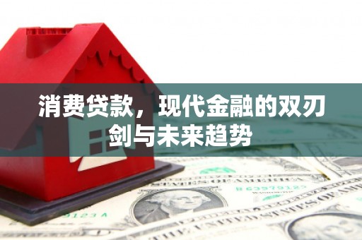 新都消费贷款，现代金融的双刃剑与未来趋势