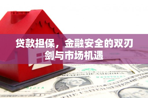 新都贷款担保，金融安全的双刃剑与市场机遇