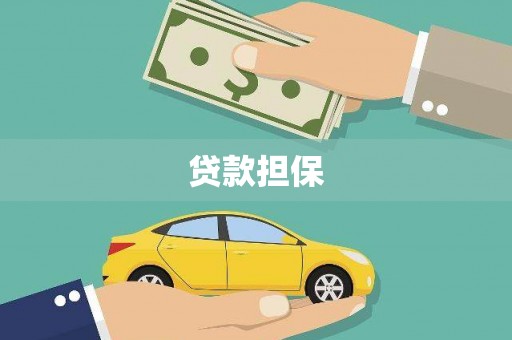 新都贷款担保