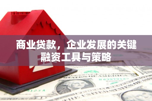 新都商业贷款，企业发展的关键融资工具与策略
