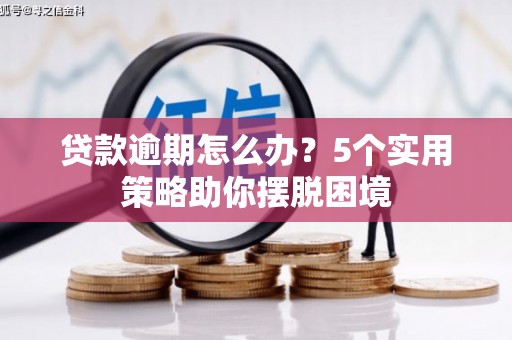 新都贷款逾期怎么办？5个实用策略助你摆脱困境