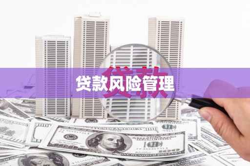 新都贷款风险管理