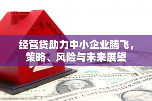 新都经营贷助力中小企业腾飞，策略、风险与未来展望