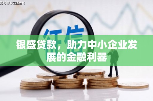 新都银盛贷款，助力中小企业发展的金融利器